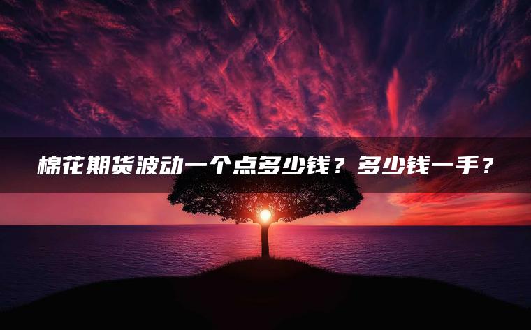 棉花期货波动一个点多少钱？多少钱一手？